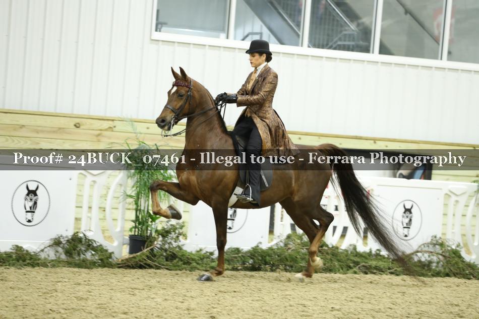 Proof 24BUCK_07461