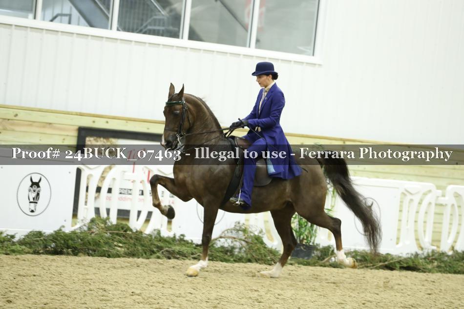 Proof 24BUCK_07463