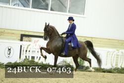 24BUCK_07463 proof