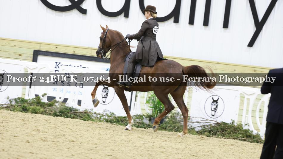 Proof 24BUCK_07464