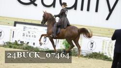 24BUCK_07464 proof