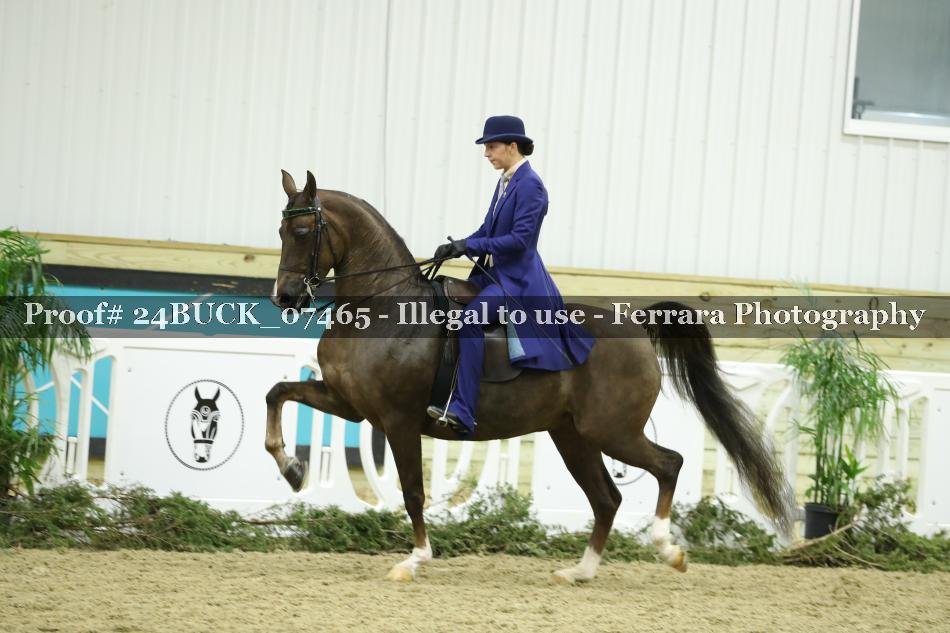 Proof 24BUCK_07465