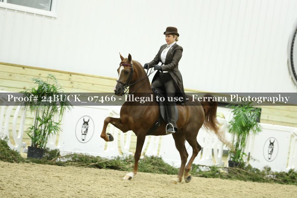 Proof 24BUCK_07466