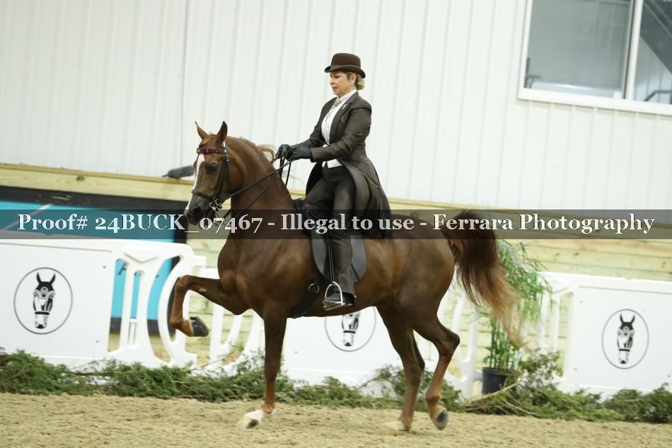 Proof 24BUCK_07467