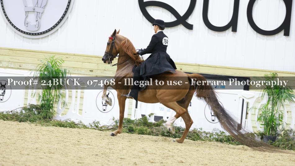 Proof 24BUCK_07468