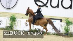 24BUCK_07468 proof