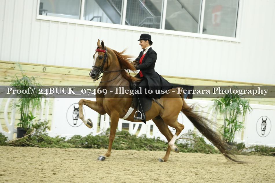 Proof 24BUCK_07469