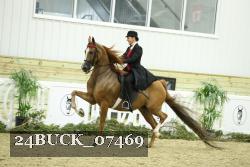 24BUCK_07469 proof