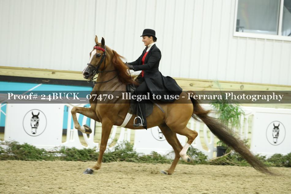 Proof 24BUCK_07470