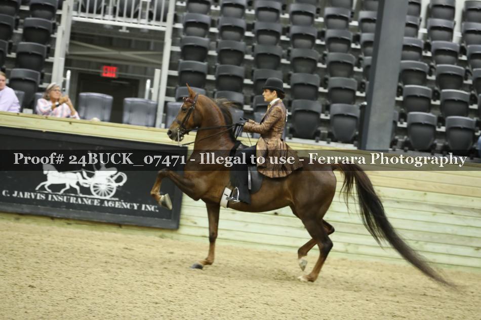 Proof 24BUCK_07471