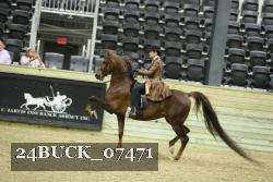 24BUCK_07471 proof