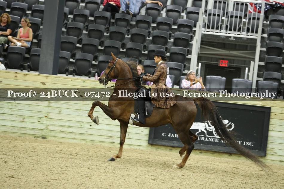 Proof 24BUCK_07472