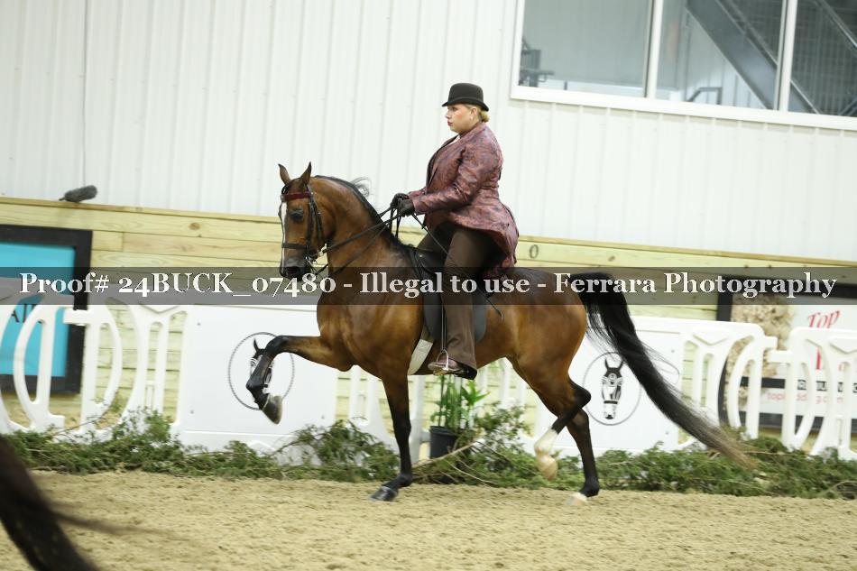 Proof 24BUCK_07480