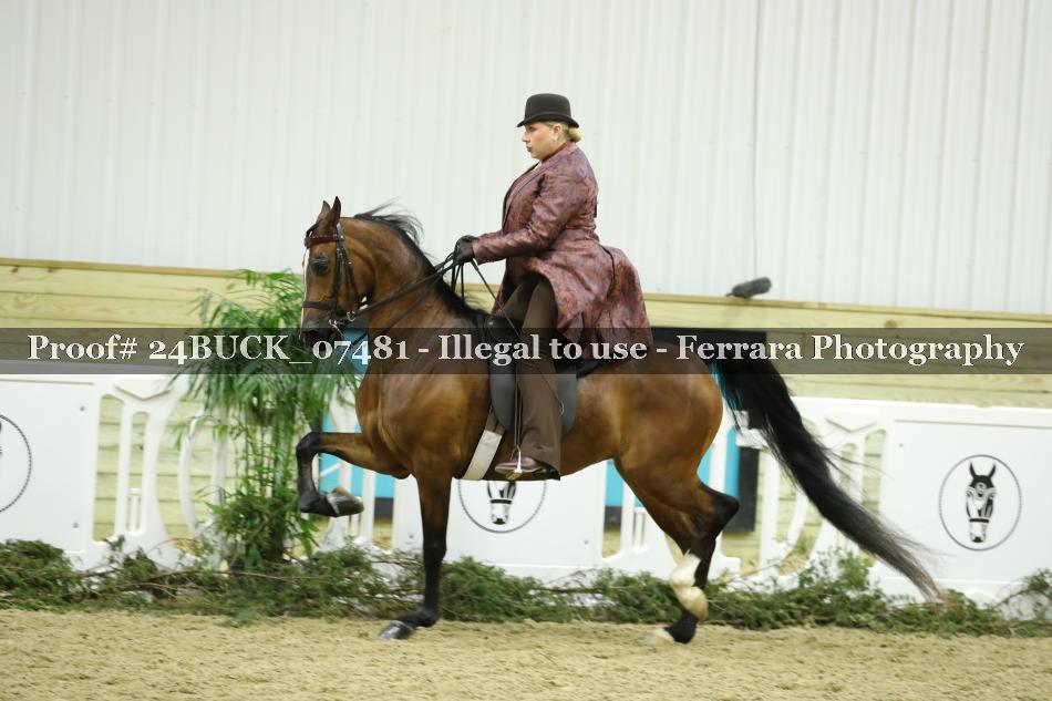 Proof 24BUCK_07481