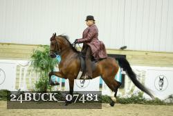 24BUCK_07481 proof