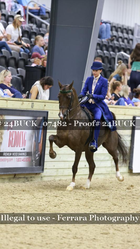 Proof 24BUCK_07482