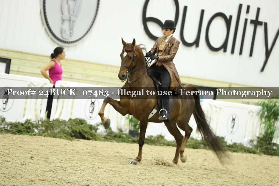 Proof 24BUCK_07483