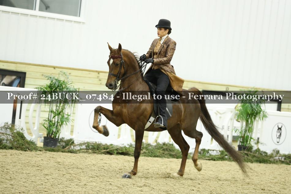 Proof 24BUCK_07484