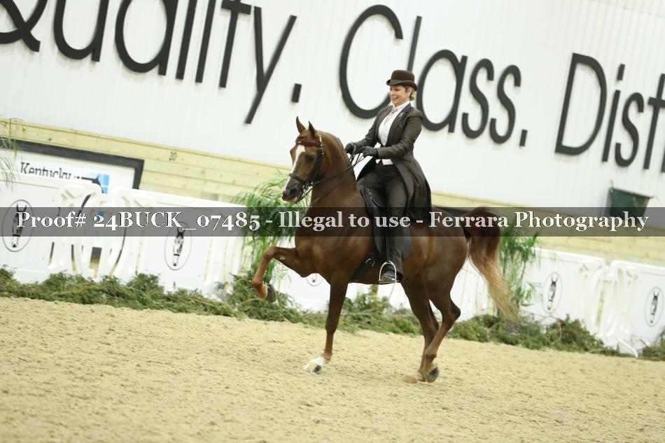 Proof 24BUCK_07485