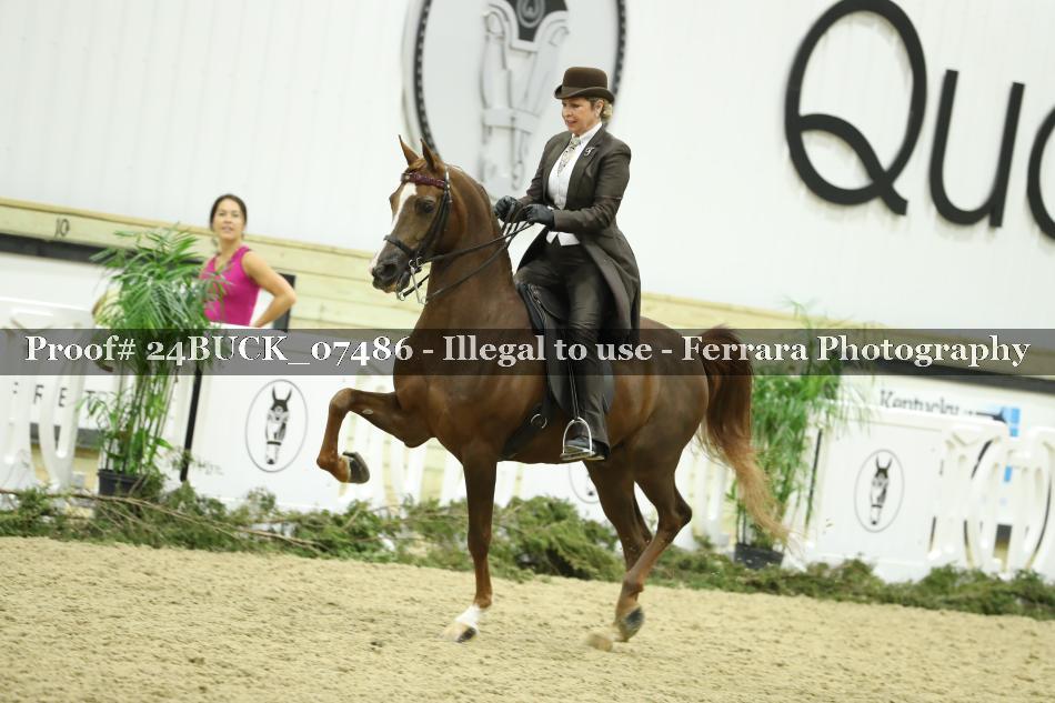 Proof 24BUCK_07486