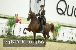 24BUCK_07486 proof