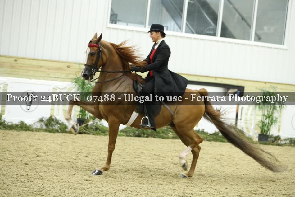 Proof 24BUCK_07488