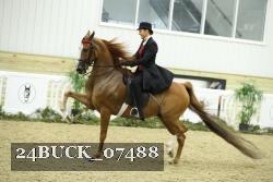 24BUCK_07488 proof