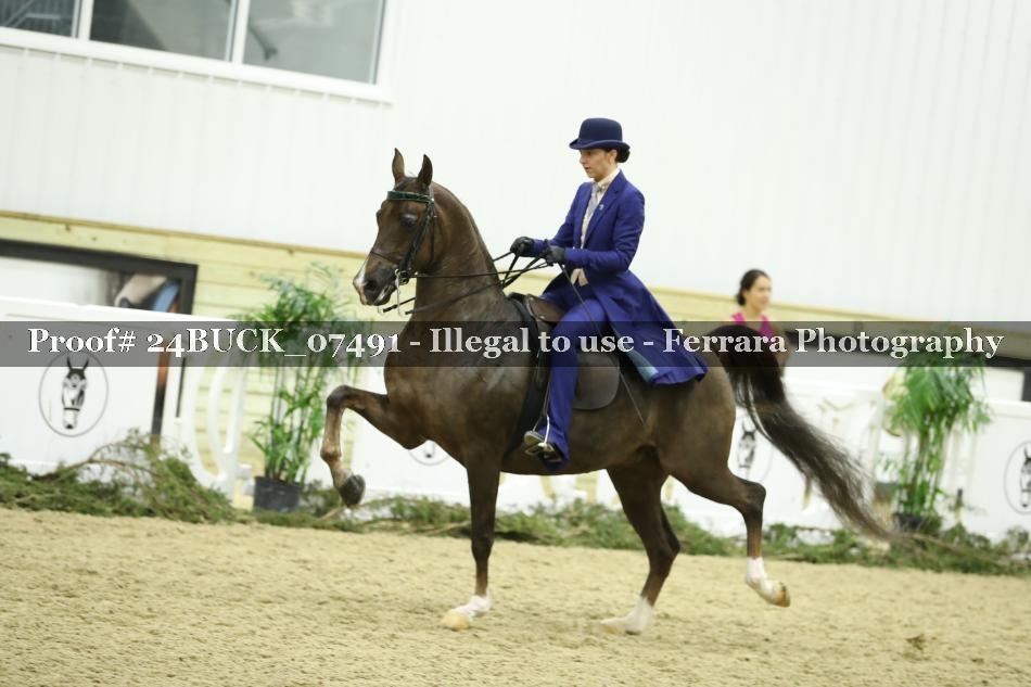 Proof 24BUCK_07491