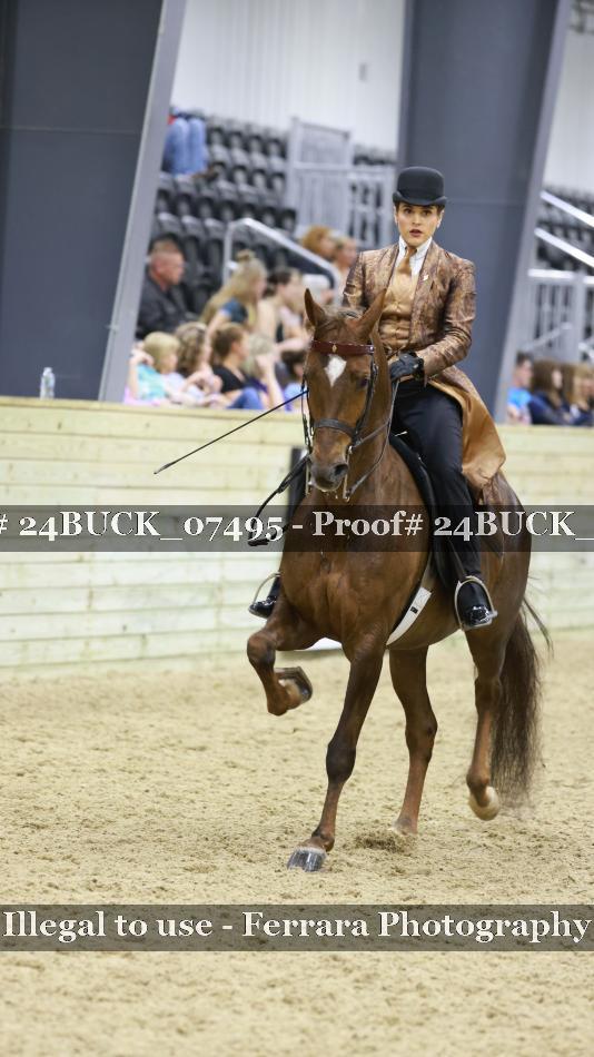 Proof 24BUCK_07495