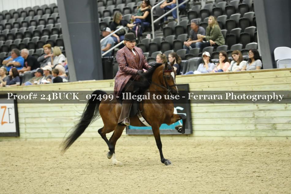 Proof 24BUCK_07499