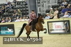 24BUCK_07500 proof
