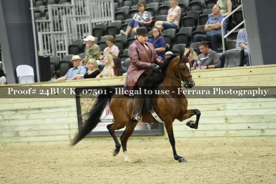 Proof 24BUCK_07501