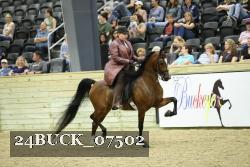 24BUCK_07502 proof