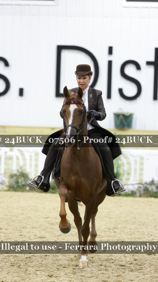 Proof 24BUCK_07506