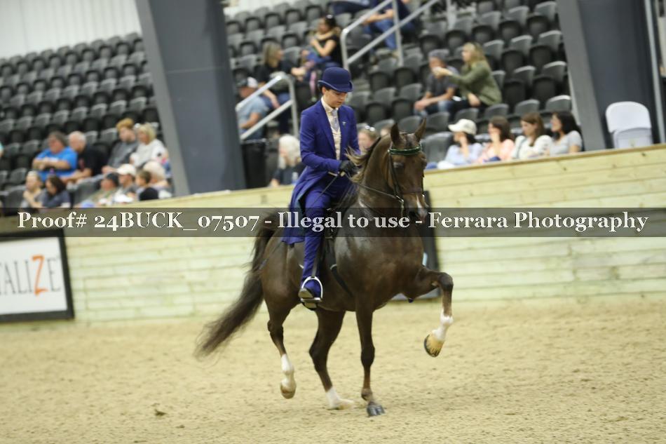 Proof 24BUCK_07507