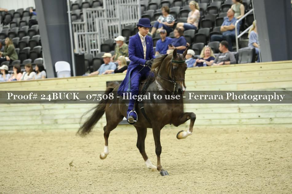 Proof 24BUCK_07508