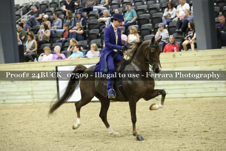 Proof 24BUCK_07509