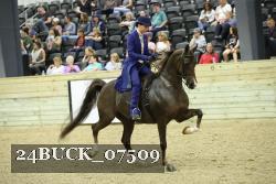 24BUCK_07509 proof
