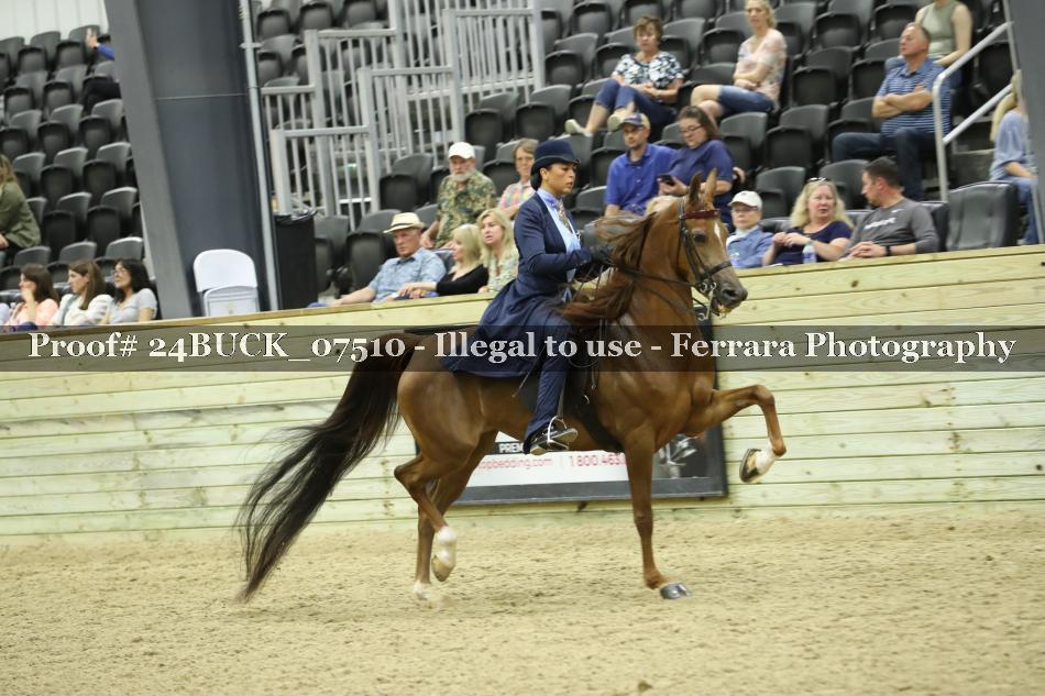 Proof 24BUCK_07510