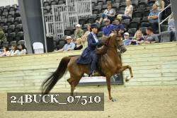 24BUCK_07510 proof