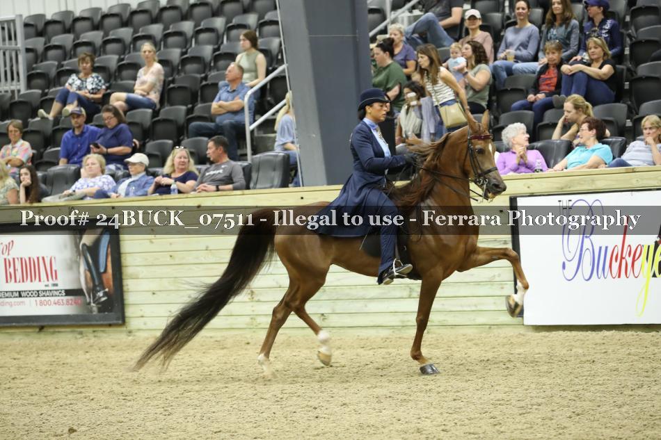 Proof 24BUCK_07511