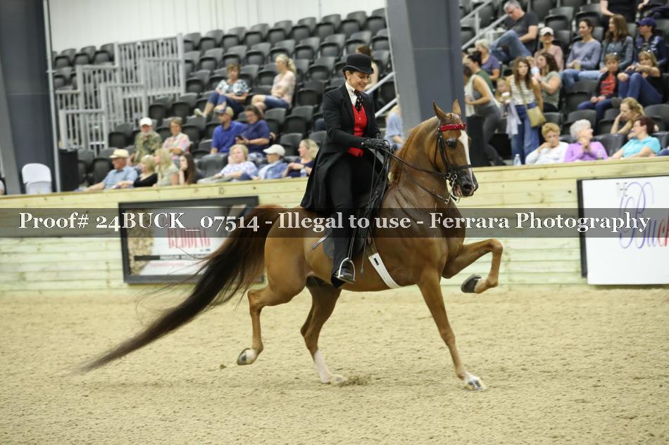 Proof 24BUCK_07514