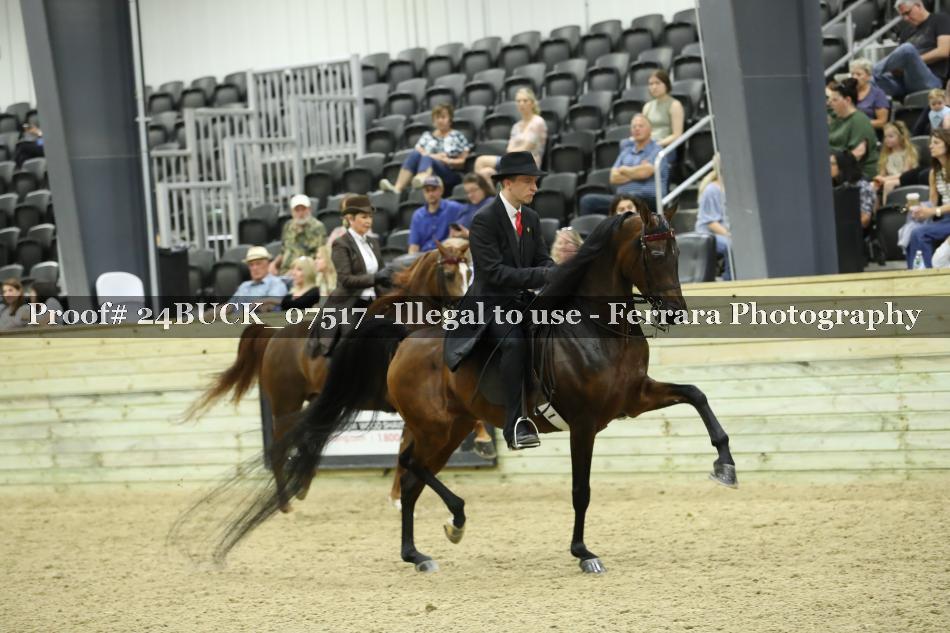 Proof 24BUCK_07517