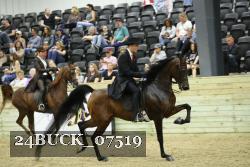 24BUCK_07519 proof