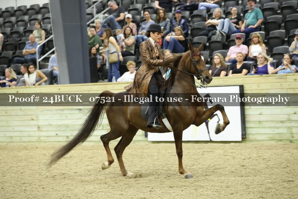 Proof 24BUCK_07521