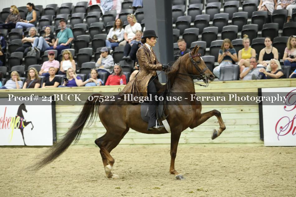 Proof 24BUCK_07522