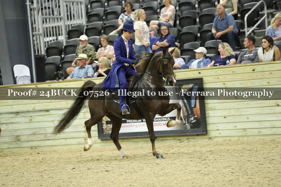 Proof 24BUCK_07526