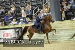 24BUCK_07527 proof