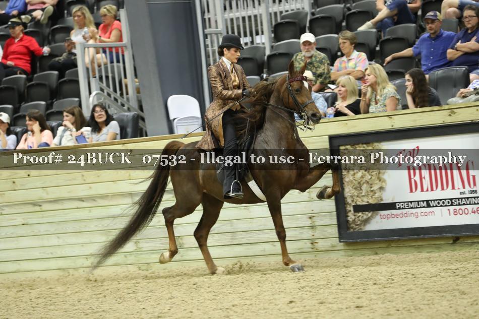 Proof 24BUCK_07532