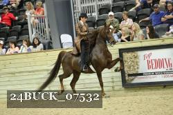 24BUCK_07532 proof